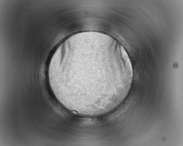 X0000102870347200809151240