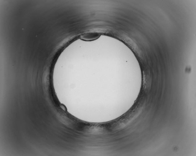 X0000102870348200809151240