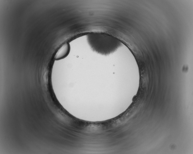 X0000102870350200809151240