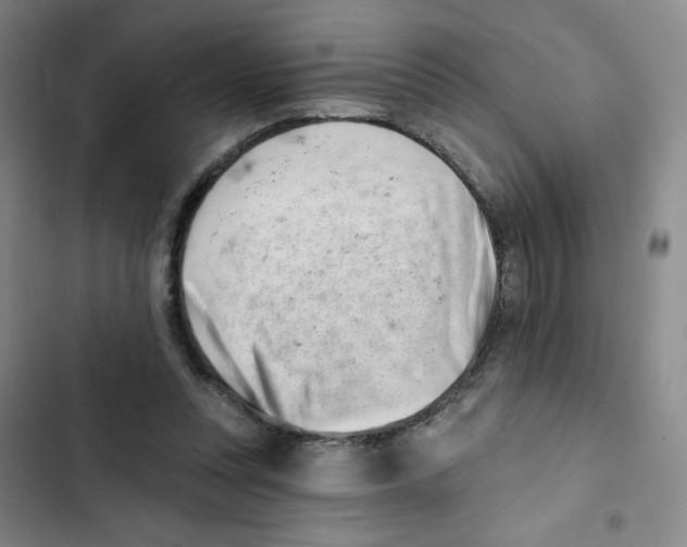 X0000102870351200809151240