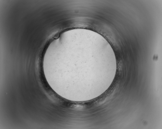 X0000102870352200809151240
