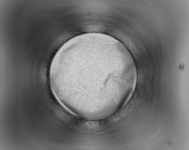 X0000102870353200809151240