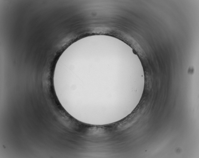 X0000102870354200809151240