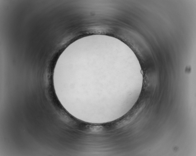 X0000102870355200809151240