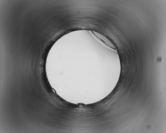 X0000102870356200809151240