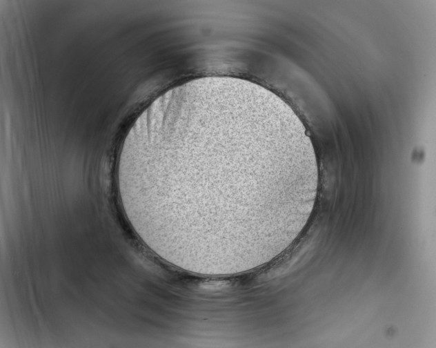 X0000102870357200809151241