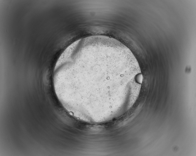 X0000102870359200809151241