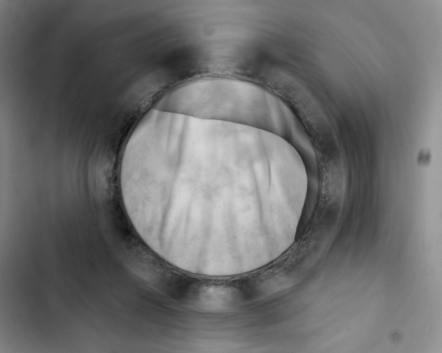 X0000102870360200809151241