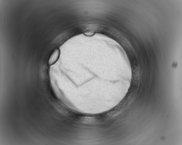 X0000102870361200809151241