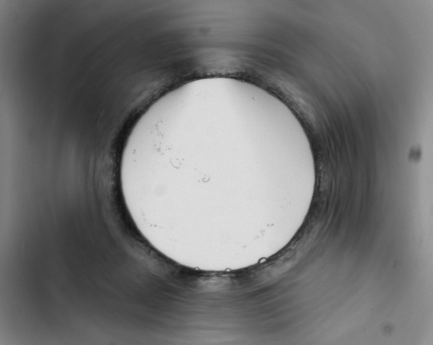 X0000102870362200809151241