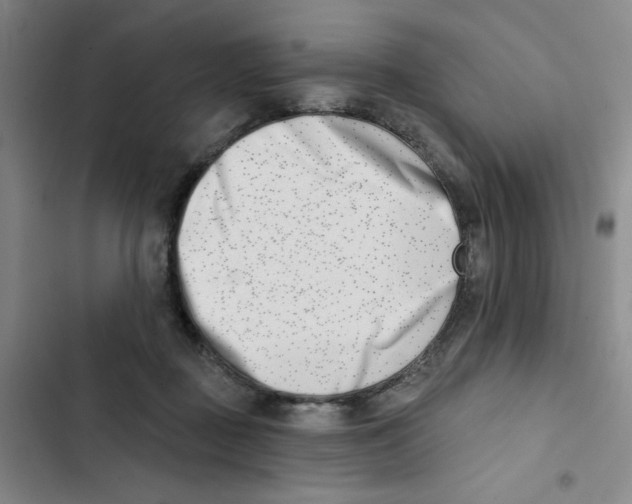 X0000102870363200809151241