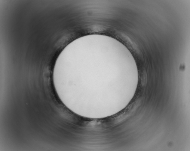 X0000102870366200809151241