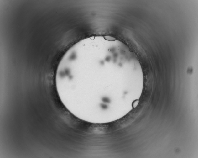 X0000102870368200809151241