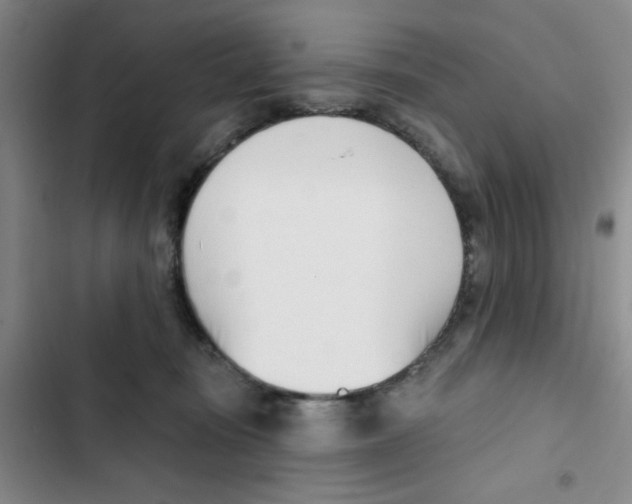 X0000102870371200809151241