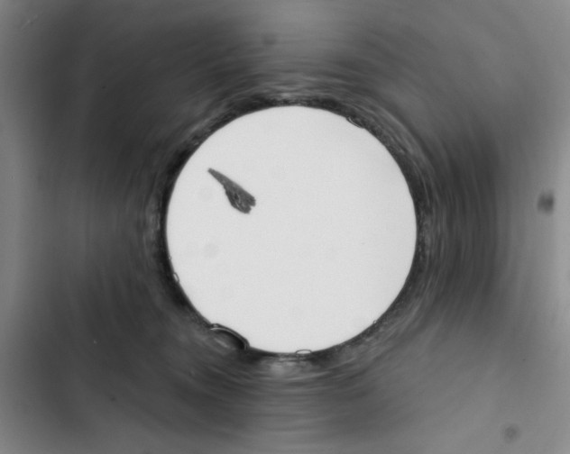 X0000102870372200809151241