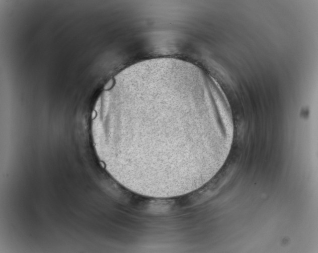 X0000102870373200809151241