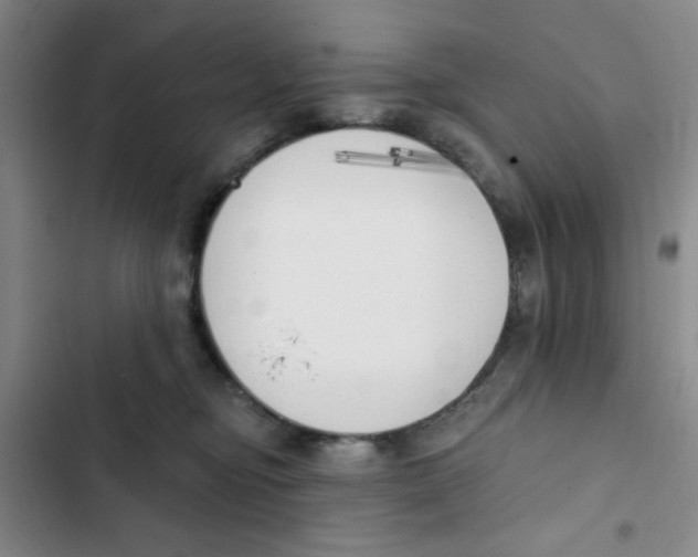 X0000102870374200809151241
