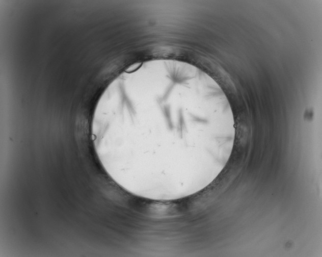 X0000102870375200809151241