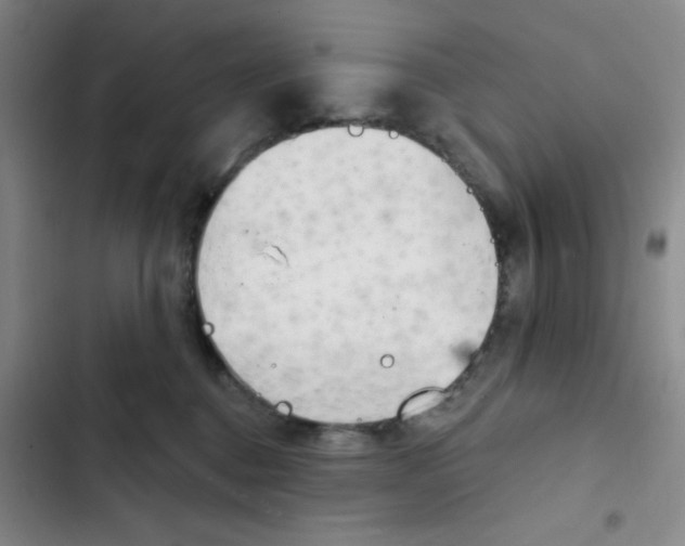 X0000102870376200809151241