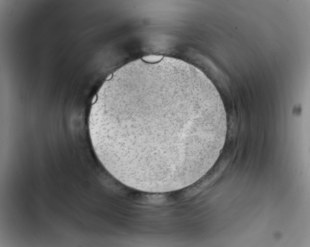 X0000102870377200809151241