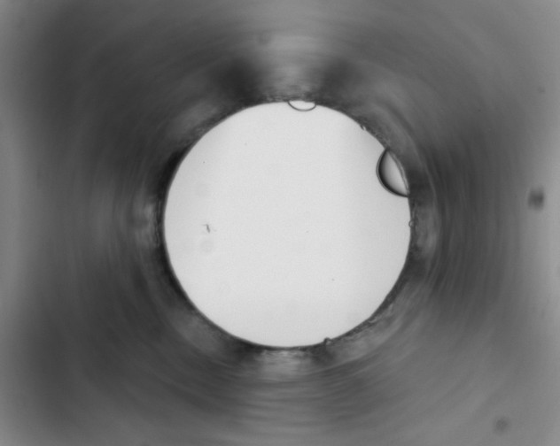 X0000102870378200809151241