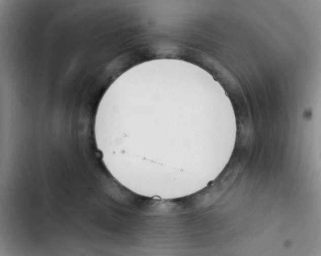X0000102870379200809151241