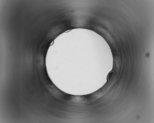 X0000102870380200809151241