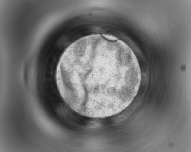 X0000102870381200809151241
