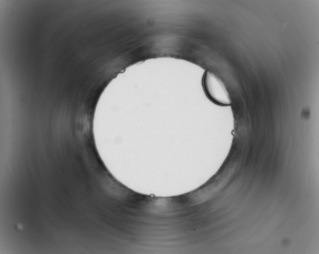 X0000102870382200809151241