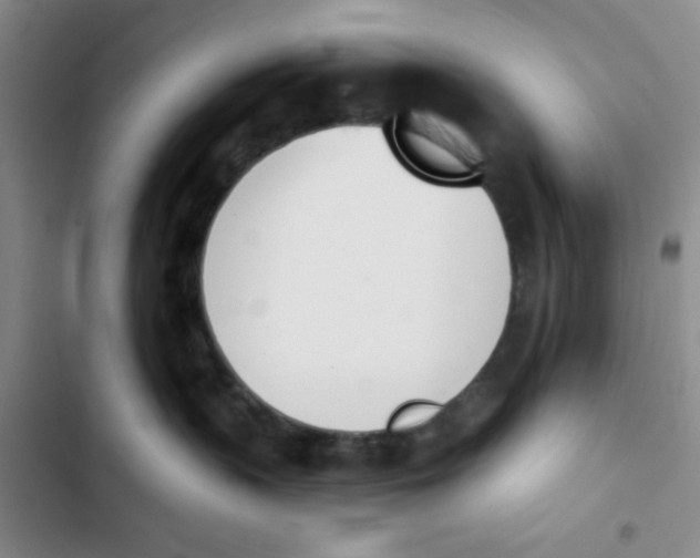 X0000102870383200809151241