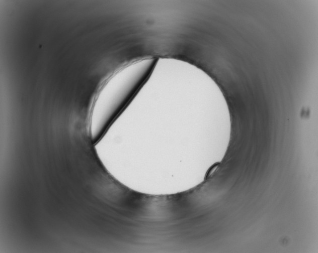 X0000102870384200809151241
