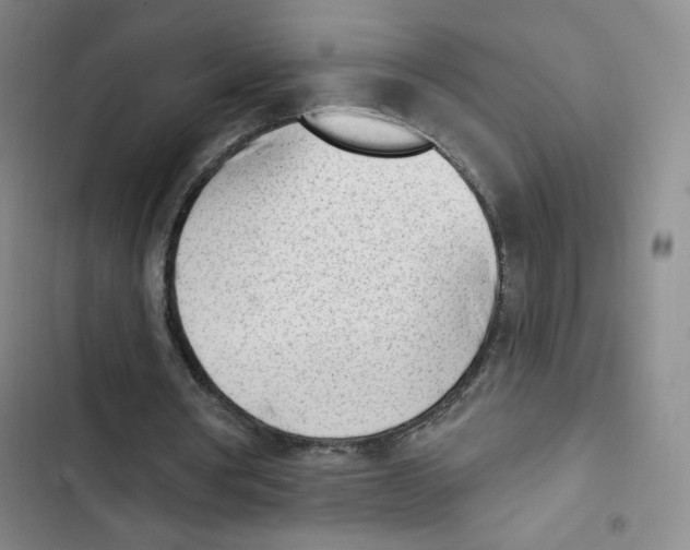 X0000102870386200809151240