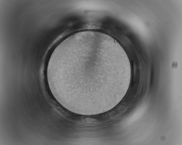 X0000102870387200809151240