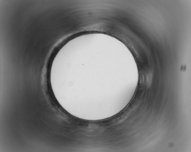 X0000102870388200809151240