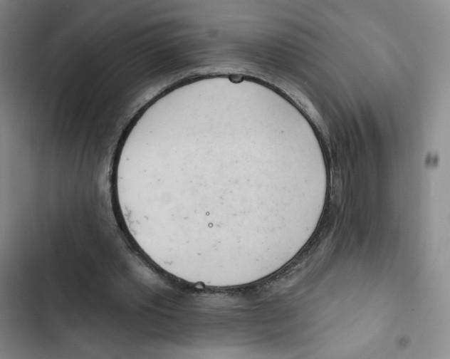 X0000102870389200809151240