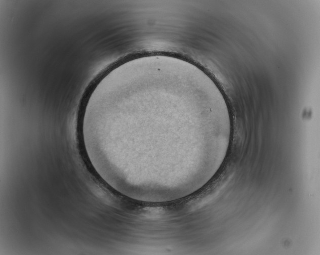 X0000102870391200809151240