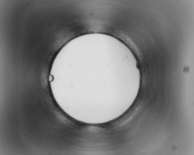 X0000102870393200809151240