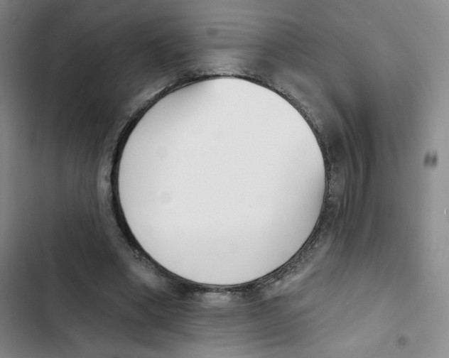 X0000102870394200809151240