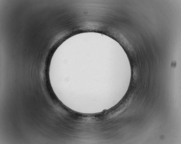 X0000102870396200809151240