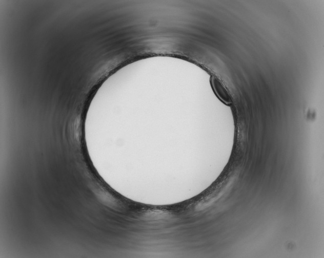 X0000102870397200809151240