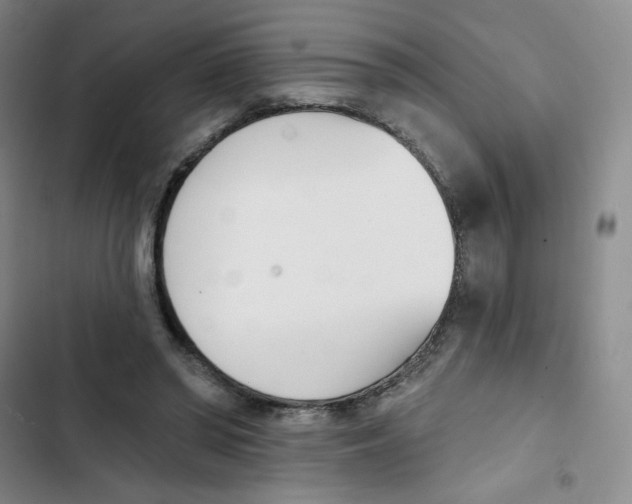 X0000102870398200809151240