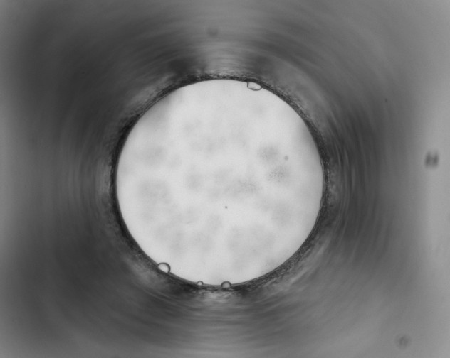 X0000102870401200809151240