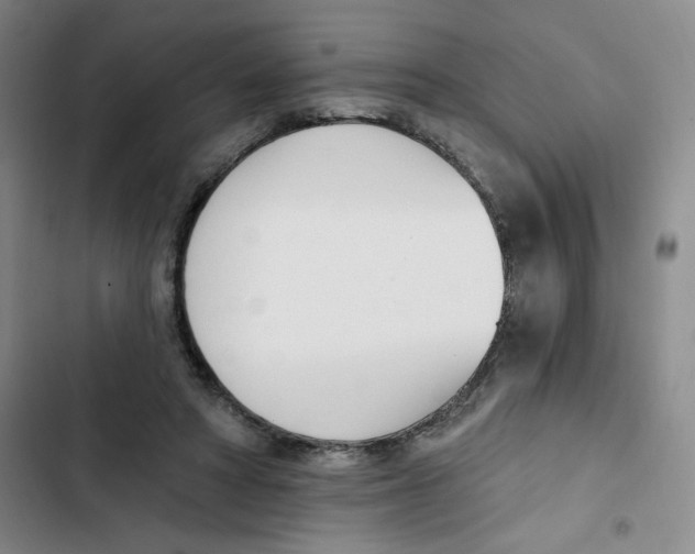 X0000102870402200809151240