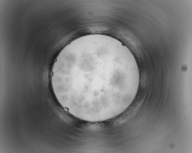 X0000102870405200809151240