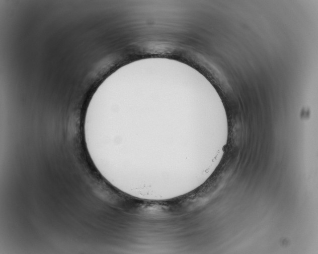 X0000102870407200809151240