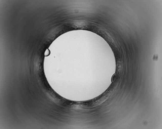 X0000102870408200809151240