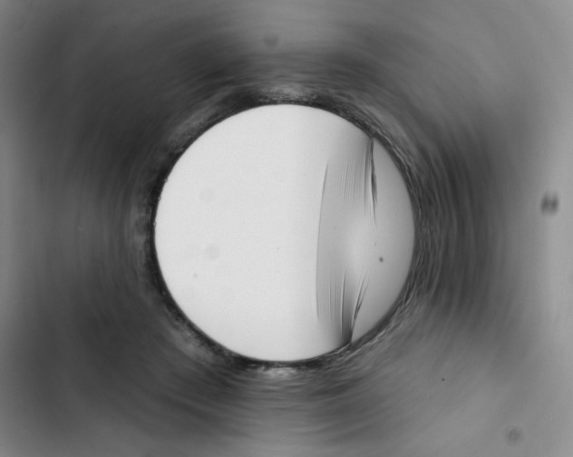 X0000102870409200809151240