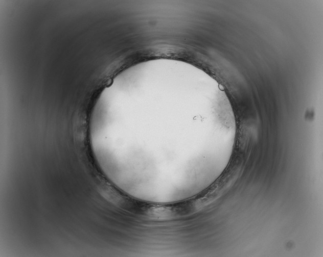 X0000102870413200809151240