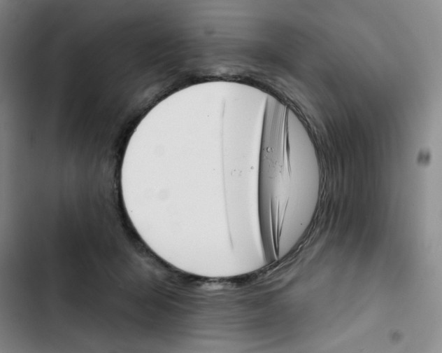 X0000102870415200809151240