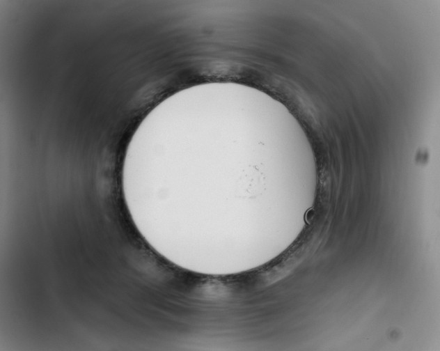 X0000102870416200809151240